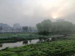 河边春色