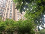 小区绿化
