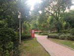 小区绿化