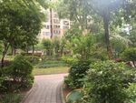 小区绿化