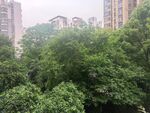 小区绿化