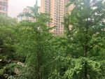小区绿化