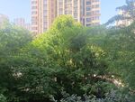 小区花园