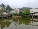 乡村景观