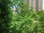 小区绿化