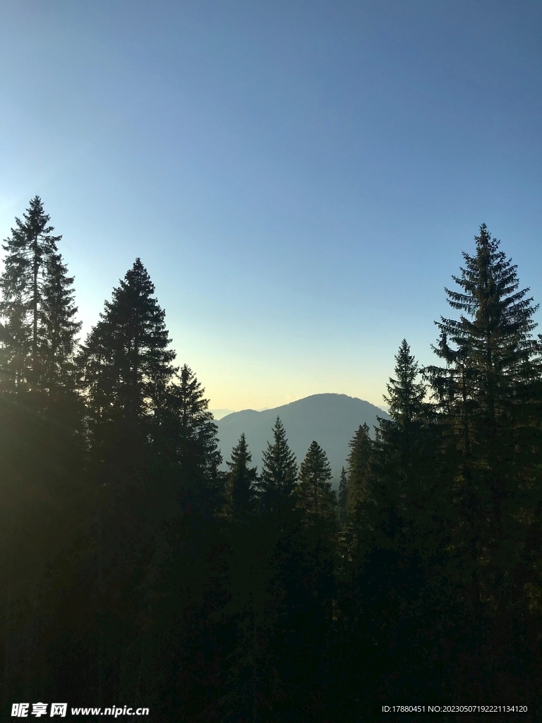 山林