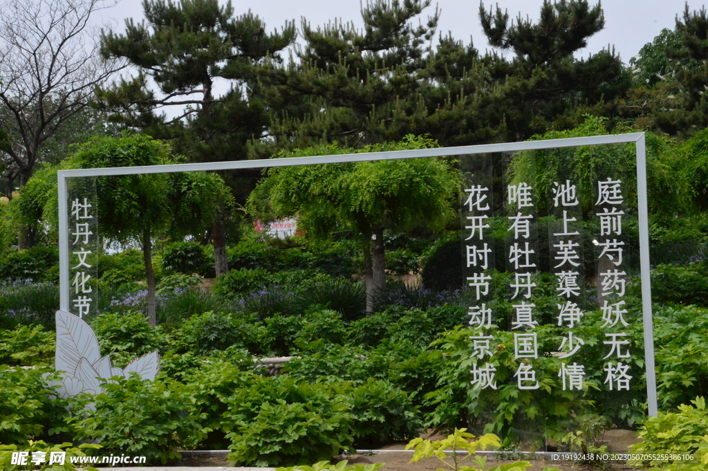 公园风景 