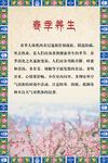 春季养生 
