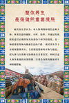 整体养生是保健的重要措施