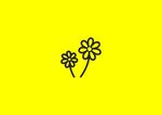 野花