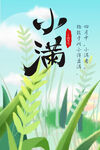 小满节气海报  
