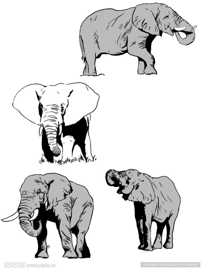 大象合集