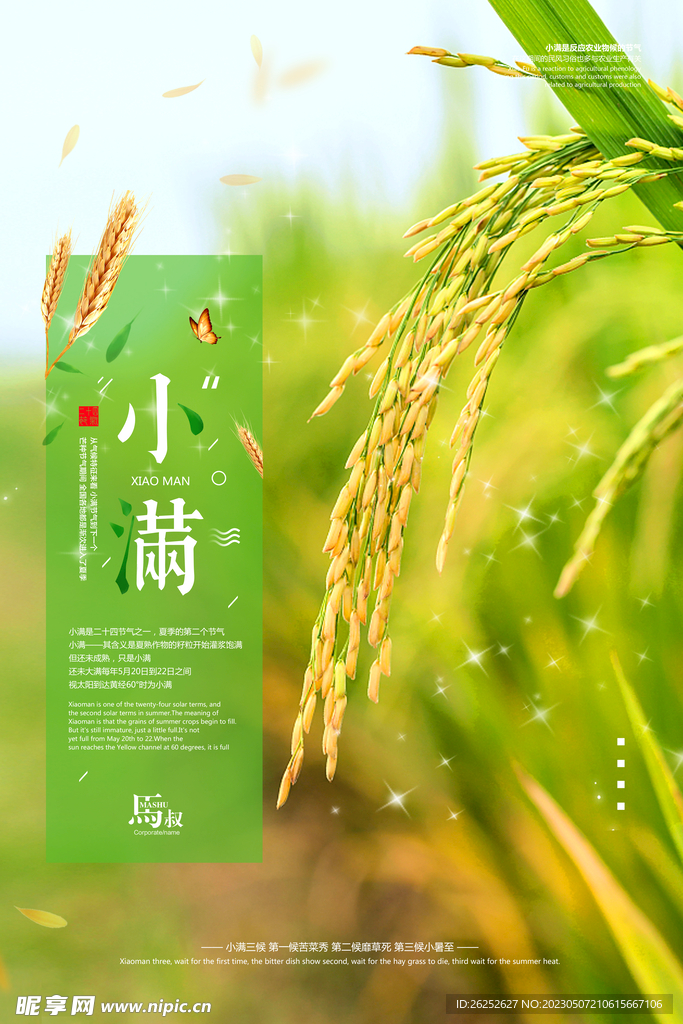 小满节气海报