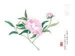 水墨花