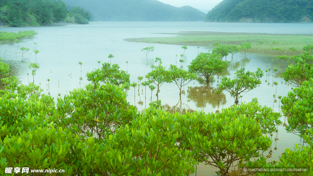 奄美群岛  日本   