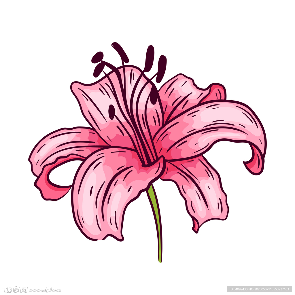卡通百合花
