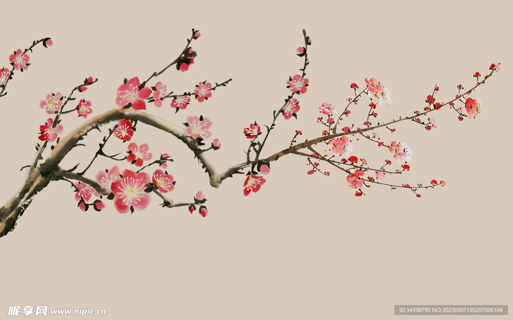 花鸟