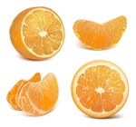 写实橘子插画