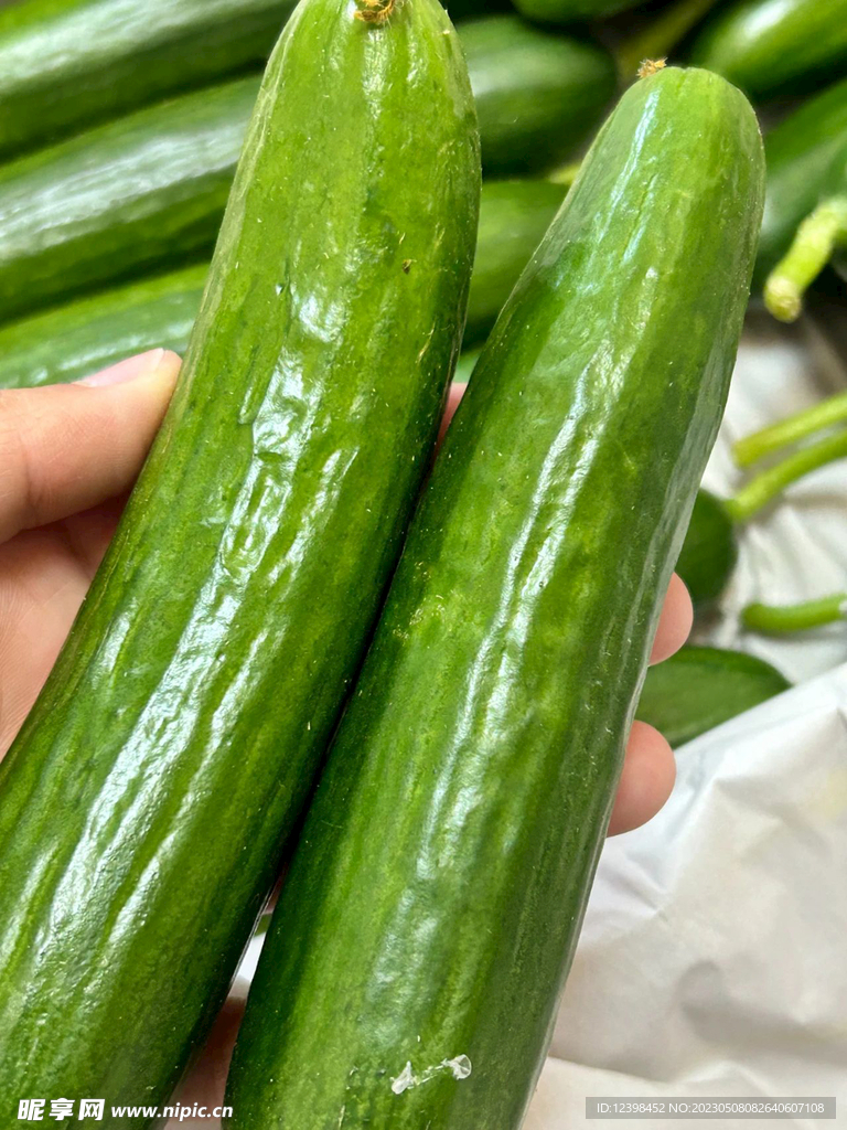 黄瓜