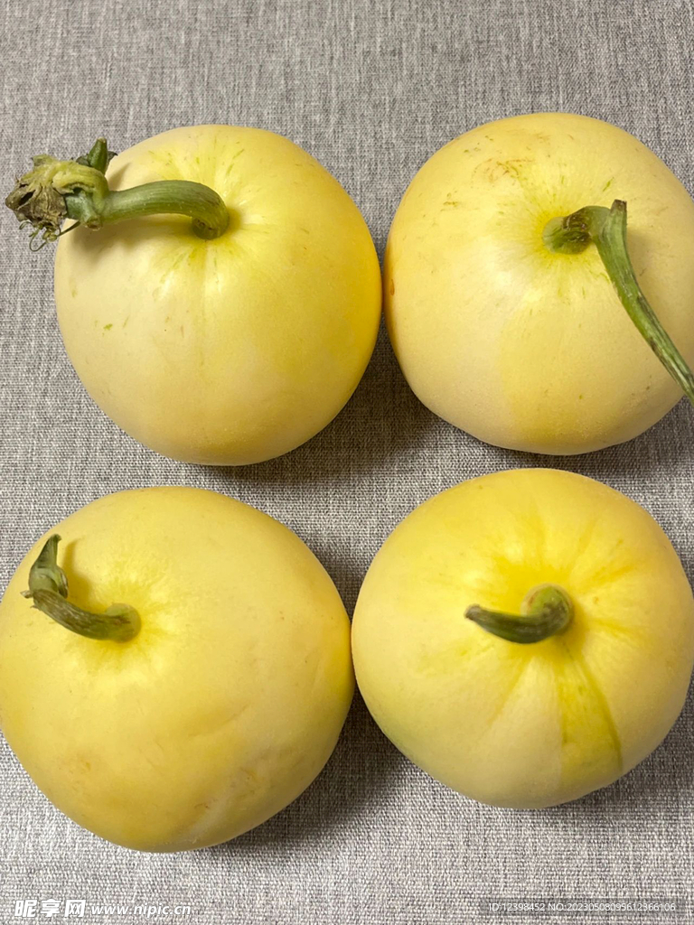 蜜瓜