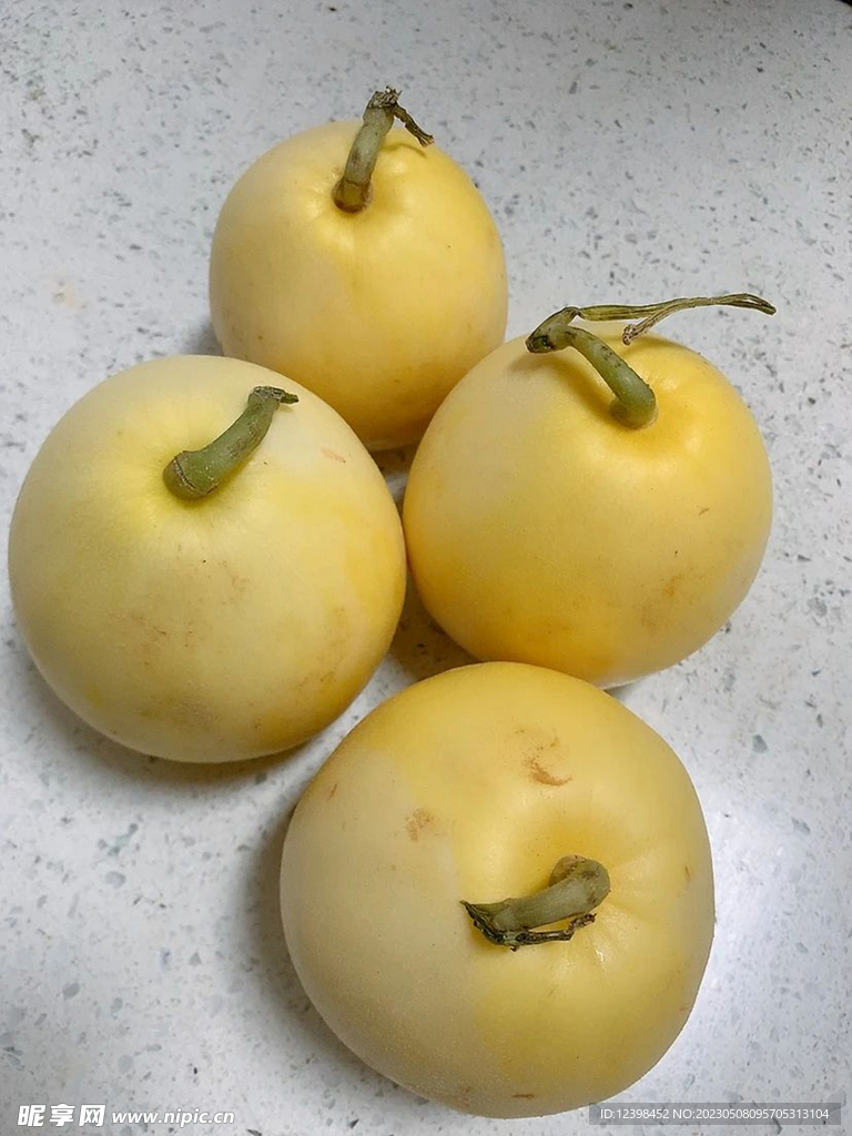 蜜瓜