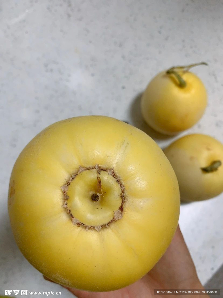 蜜瓜