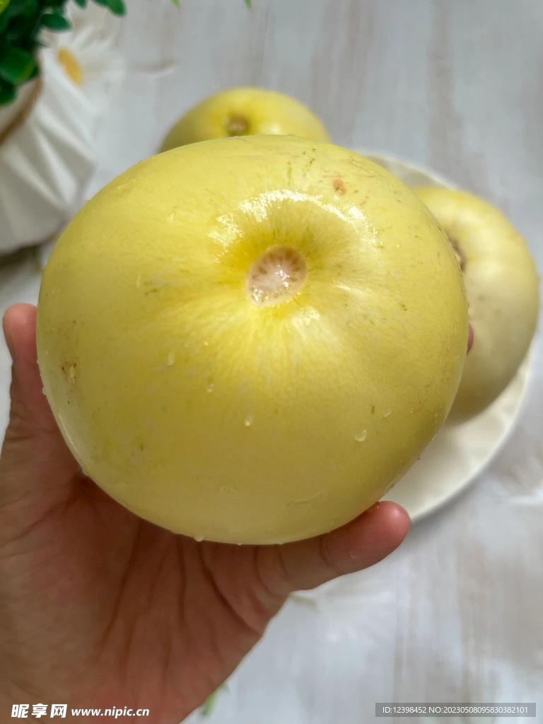 蜜瓜