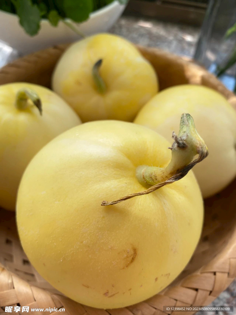 蜜瓜