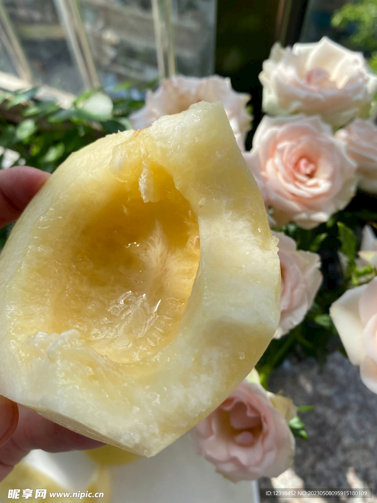 蜜瓜