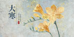 24节气大寒