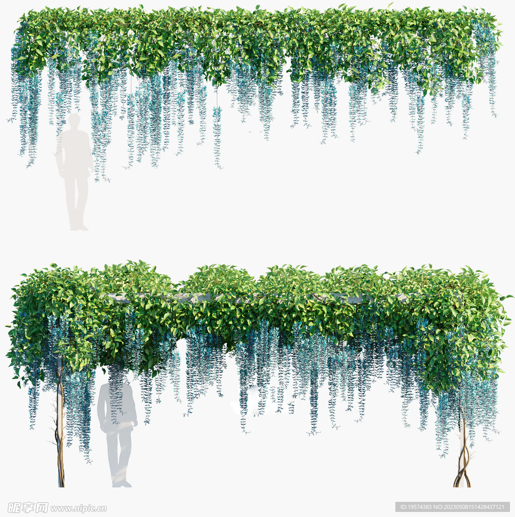 C4D模型  树木  