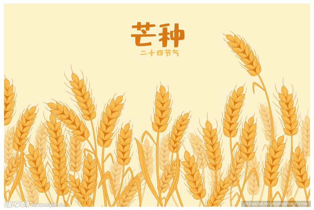 芒种海报