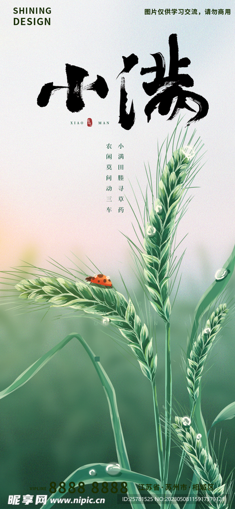小满节气海报