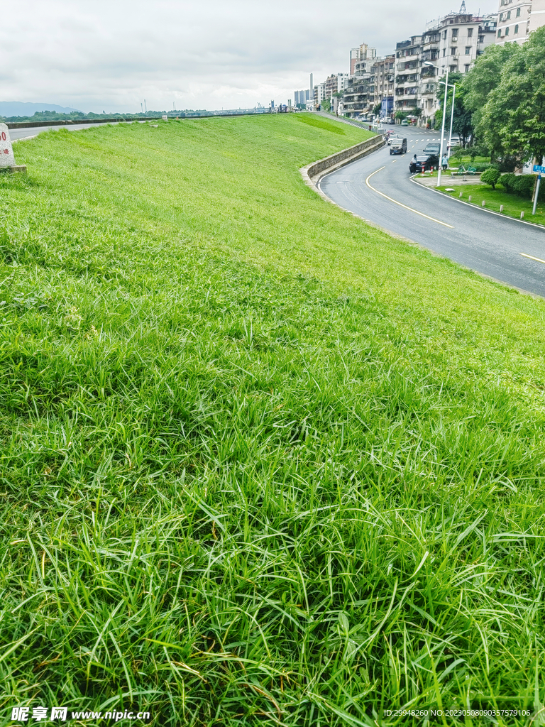 堤坝大草原