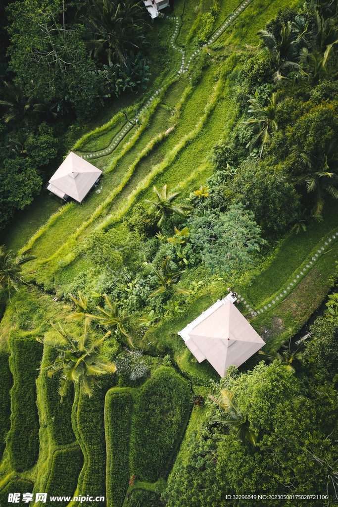 高空俯拍的绿色梯田图