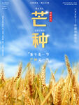 芒种农忙时节气海报