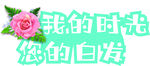 我的时光 您的白发