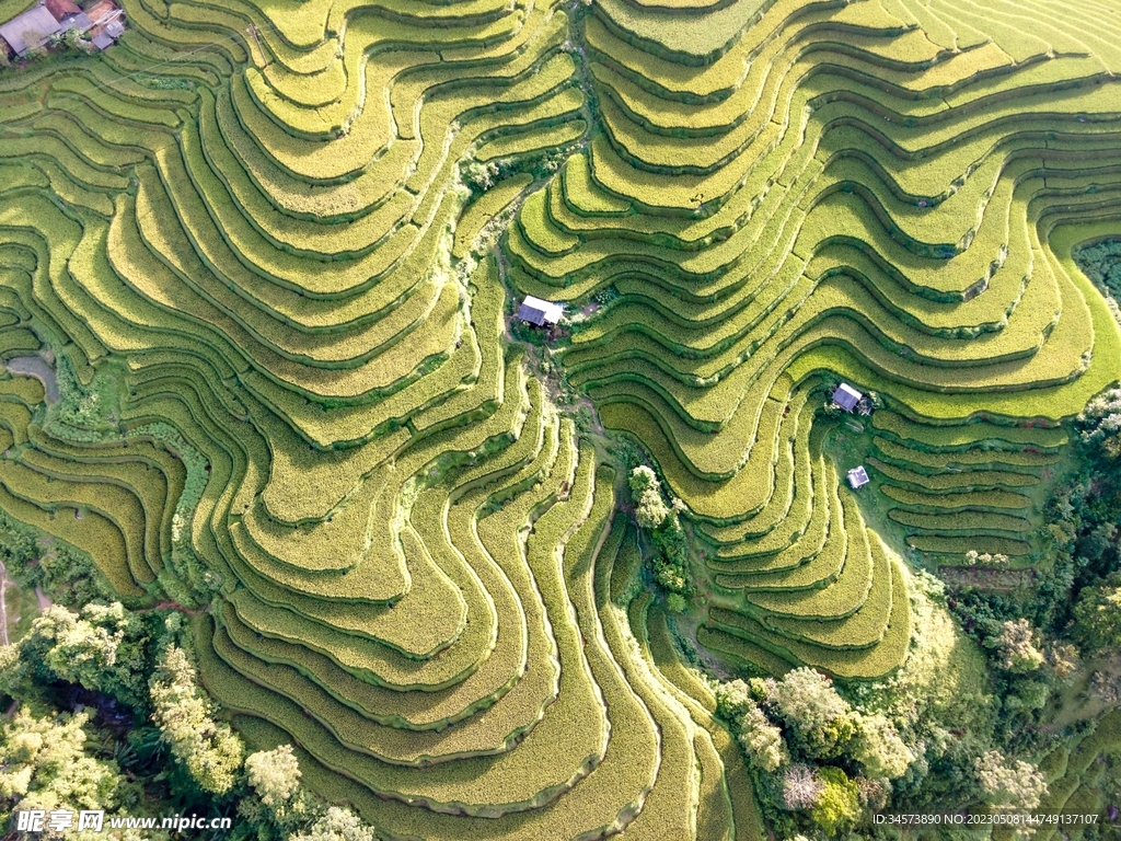 梯田景观