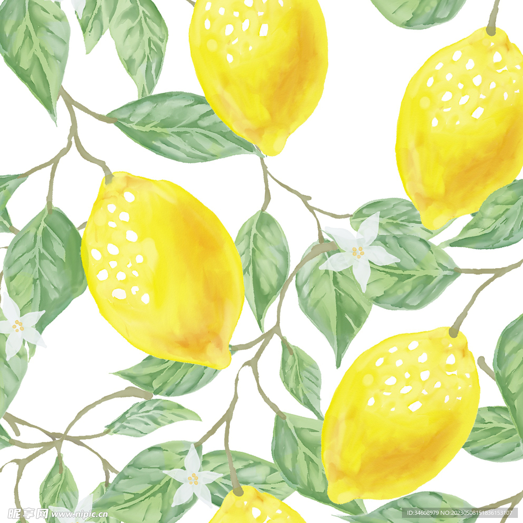 日系手绘插画柠檬