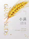小满插画宣传微信
