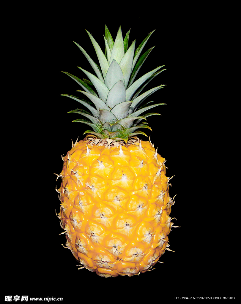 菠萝