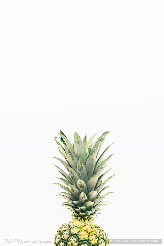 菠萝