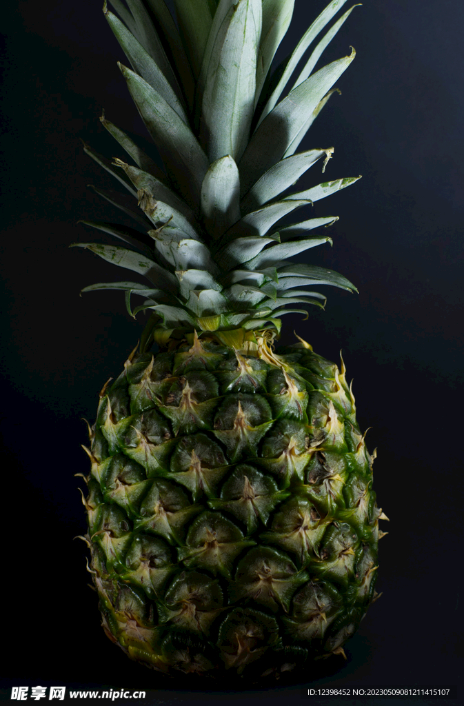 菠萝