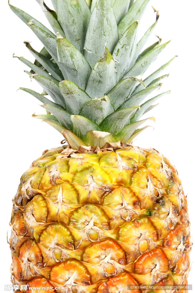 菠萝