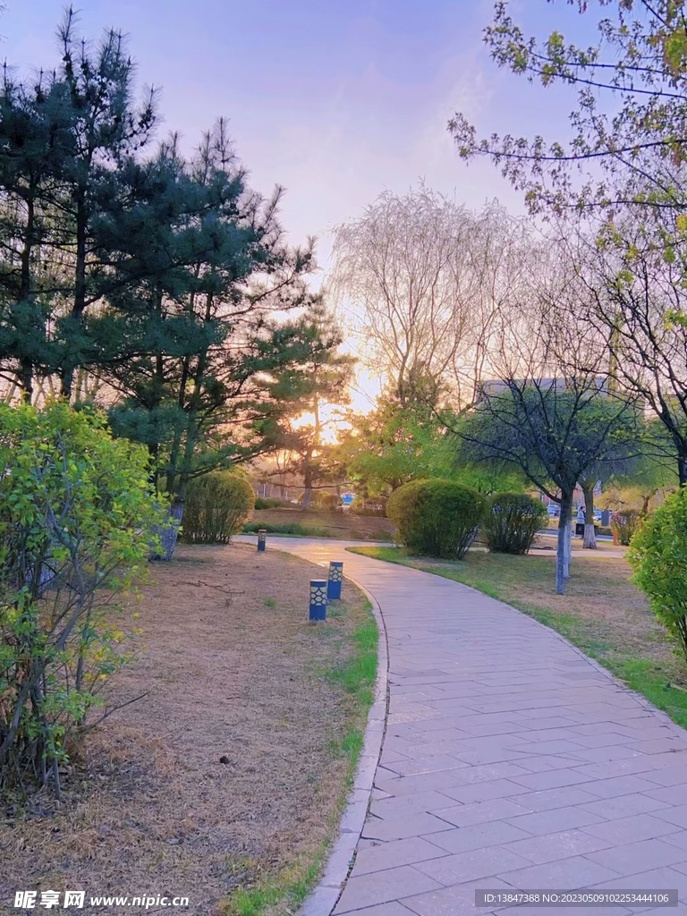 小路
