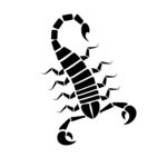 蝎子