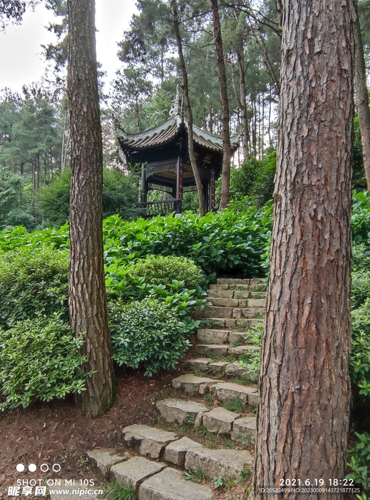 登高云山森林公园亭子