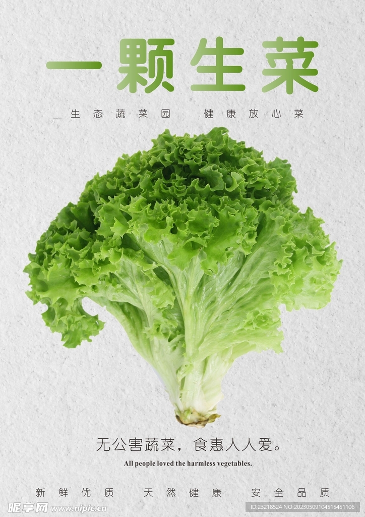 生菜海报