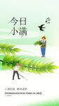 小满节气