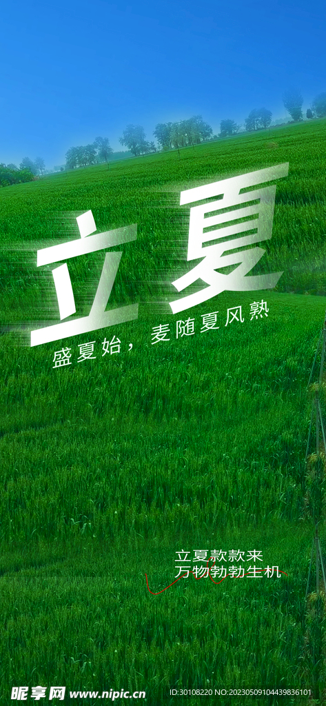 立夏节气海报
